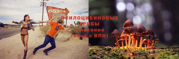 a pvp Алексеевка
