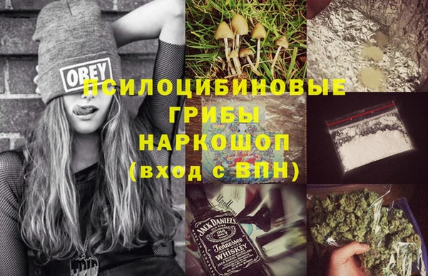 эйфоретик Алексин
