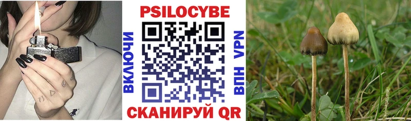 гидра как зайти  Льгов  Псилоцибиновые грибы Psilocybe  наркошоп 